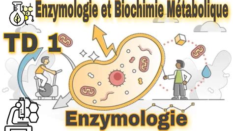 TD 1 de Enzymologie et Biochimie Métabolique bioénergitique exercice