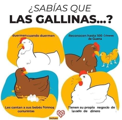 Quiero Ser Una Gallina Meme Subido Por 2r Memedroid