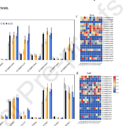 The Expression Profiles Of Candidate Genes The Expression Profiling Of