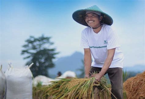 BAZNas Kembangkan Program Lumbung Pangan