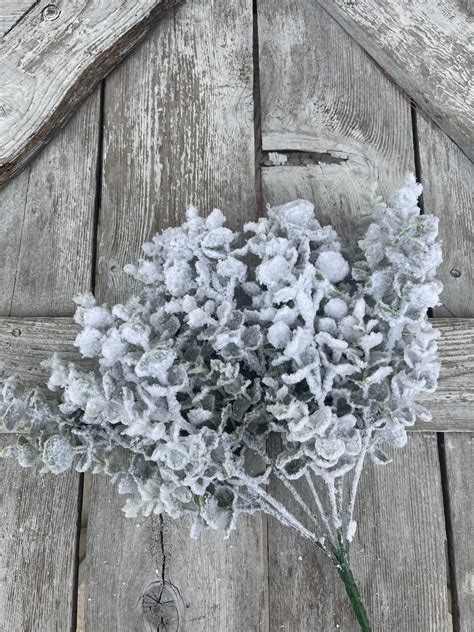 Snow Covered Eucalyptus Bush - Kelea's Florals