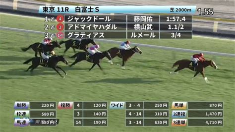 【129 白富士sほか】東京ダイジェストjraレース結果 競馬予想動画 Netkeiba