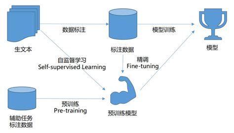 Bert模型预训练与微调bert预训练和微调 Csdn博客