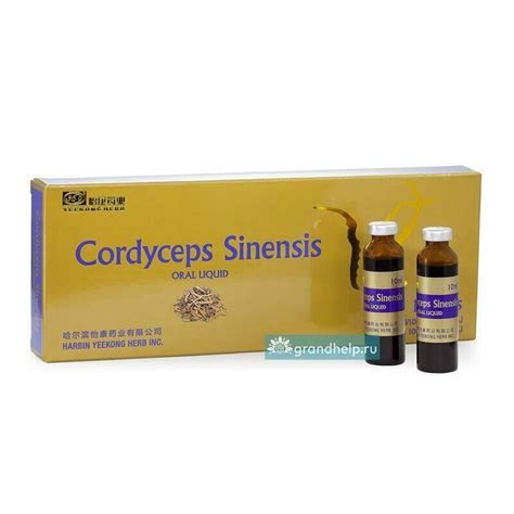 Эликсир Кордицепс Cordyceps Sinensis. Купить выгодно.