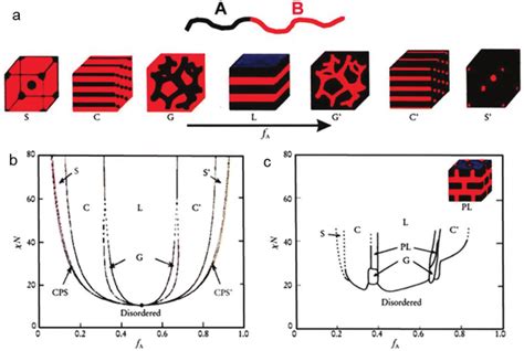 A Morphologies Of Self Assembly Of Diblock Copolymers In Bulk S And Download Scientific