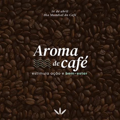 O aroma do café estimula o cérebro melhora os processos cognitivos e