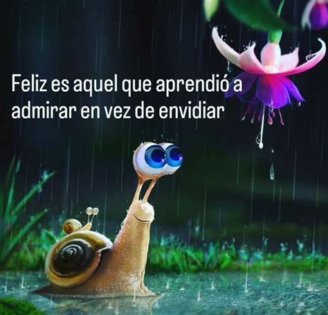 AmorSonrie on Instagram Feliz es aquel que aprendió a admirar en