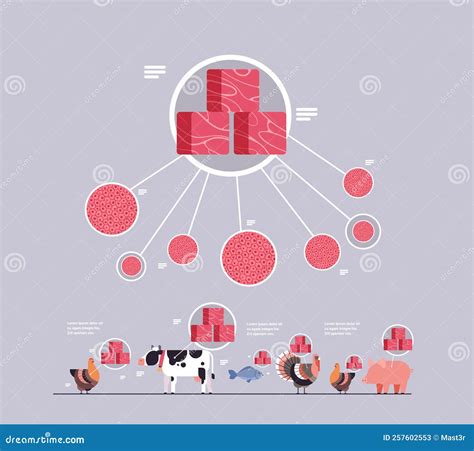 Cultured Red Raw Meat Made from Animal Cells Artificial Lab Grown Meat