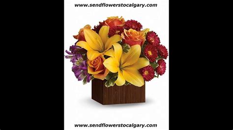 Envoyer Des Fleurs De Thetford Mines Qu Bec Calgary En Alberta Https