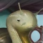 Tenku The Gastropod S Profile Hentai Foundry