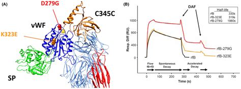 Gainoffunction Variants In Cfb A Crystal Structure Of The C