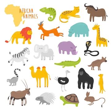 Mammals Clip Art Tpt Clip Art Library