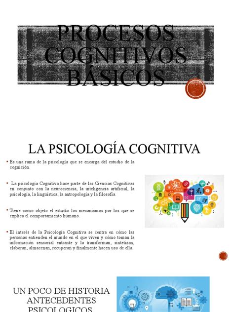 Procesos Cognitivos Basicos Presentación Descargar Gratis Pdf Psicología Cognitiva