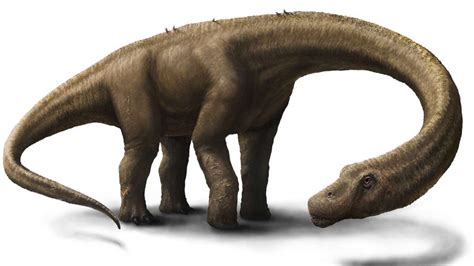 10 Facts About Argentinosaurus