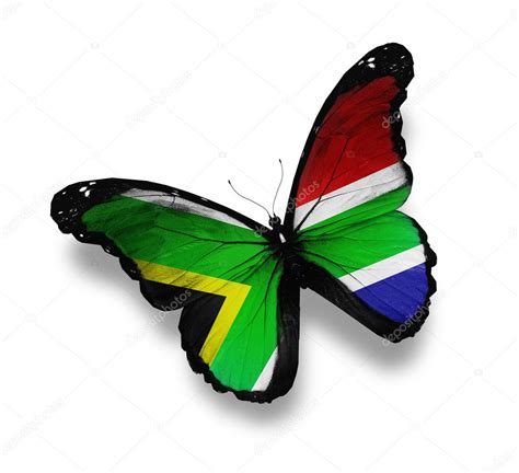 South African Flag Butterfly Isolated On White Stock Photo Sun