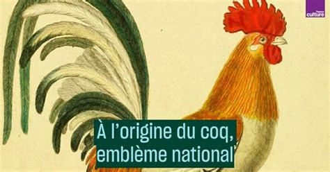 Vid O Voici Pourquoi Depuis Le Moyen Ge Le Coq Est Le Symbole De La