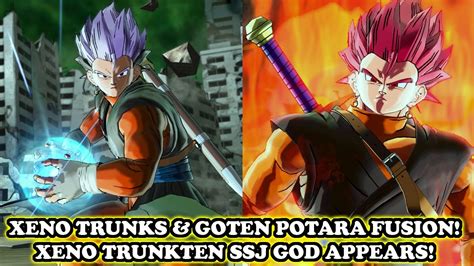 Adult Goten And Trunks Potara