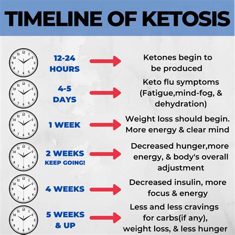 TIMELINE OF KETOSIS : r/LowCarbKeto_Recipes