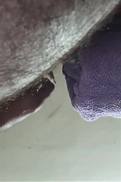 One Night In Loneliness Gay Porn Feat Shelsra By Faphouse Xhamster