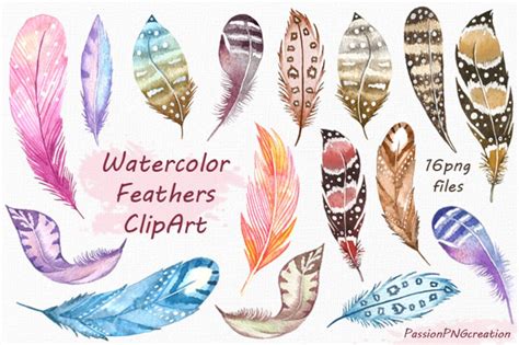 Watercolor Feathers Clipart Feather Clip Art Digital - Etsy