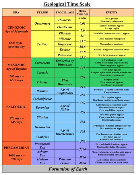 Geologic Time Scale Diagram Quizlet