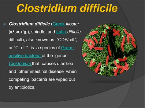 SOLUTION Clostridium Difficile Studypool