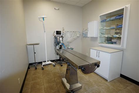 Veterinary Clinic Of Pearland Tour | Vet Clinic In Pearland, TX 77581