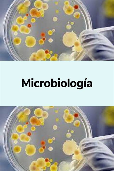 Microbiología Qué es tipos comienzo y aplicación Microbiología