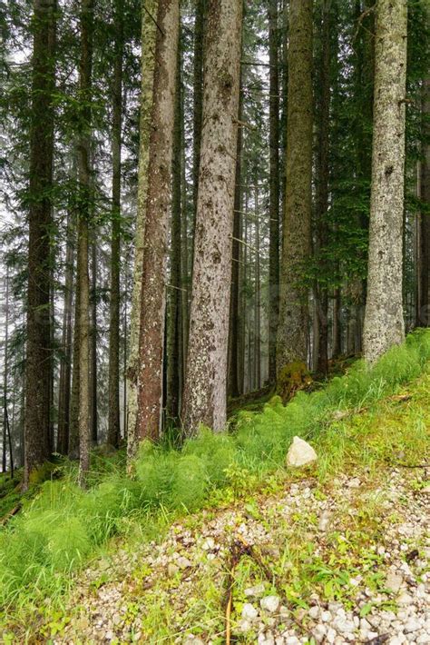 the austrian alps 27261692 Stock Photo at Vecteezy