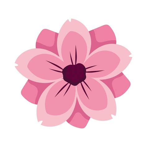 Free Vector Japan Sakura Flower