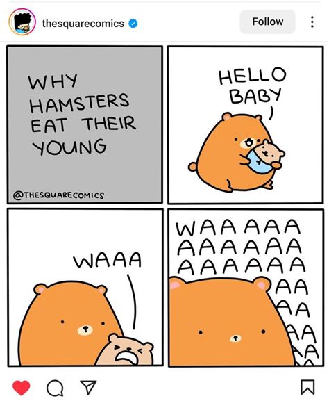 Baby Hamster Hamster Eating Webcomic Comics Funny Funny Parenting