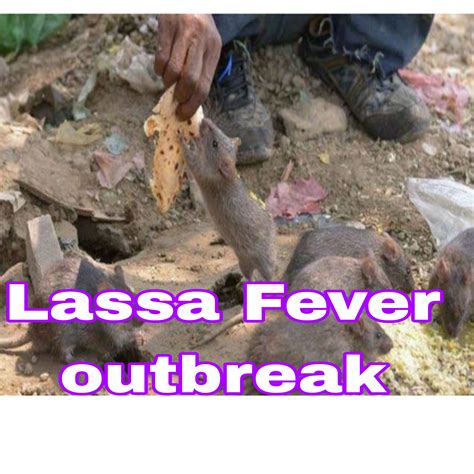 Lassa Fever Victims Can Infect Others 12 Months After Treatment Expert