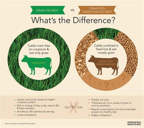 Infographic -Grass Fed vs. Grain Fed Cows