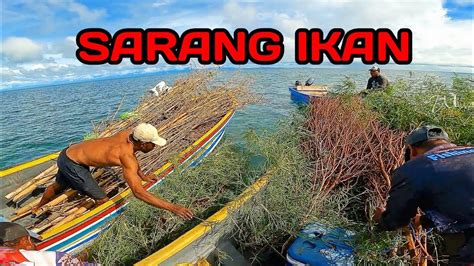 Cara Buang Rumpun Rompon Tempat Ikan Ngumpul YouTube