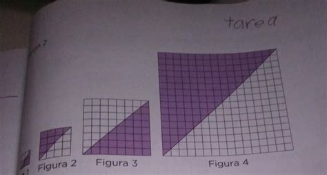 Cu L Es La Regularidad Que Observan En La Sucesi N De Figuras Cu L Es