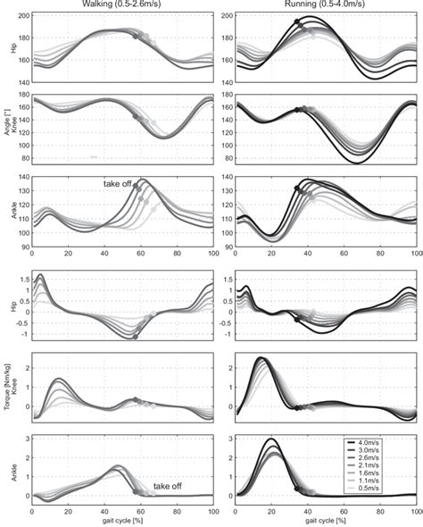 Hip Knee And Ankle Joint Angle And Joint Torque For A Gait Cycle Of