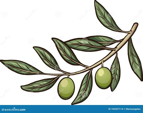 Olive branch stock vector. Illustration of vector, layers - 102507114