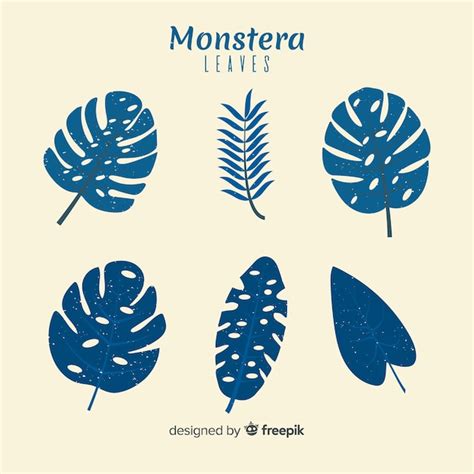 Set Hojas Monstera Planas Vector Gratis