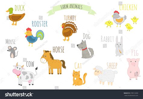 Cute Farm Animals Names Horse Cow Stock Illustration 378512200 ...