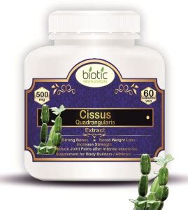 biotic Cissus quadrangularis Extract (Hadjod) 500mg - 60 Capsules Price ...