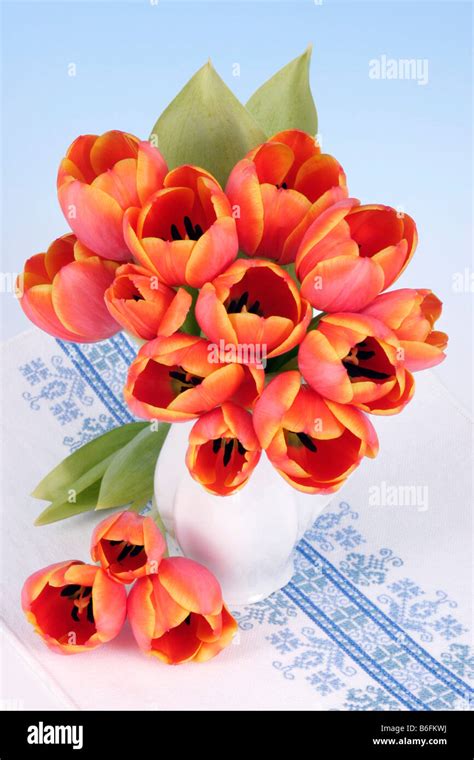 Bouquet of tulips Stock Photo - Alamy