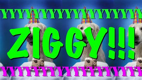 Happy Birthday Ziggy Epic Happy Birthday Song Youtube