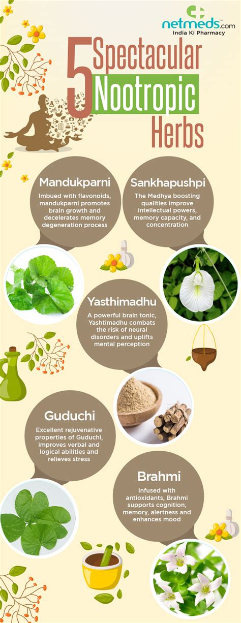 Nootropics 5 Excellent Ayurvedic Herbs To Enhance Memory Infographic