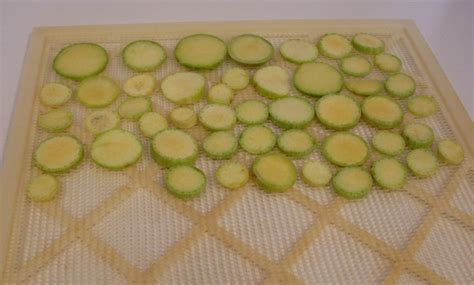 How to Dry Summer Squash: An Illustrated Guide - Delishably