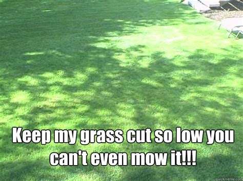 Grass Meme