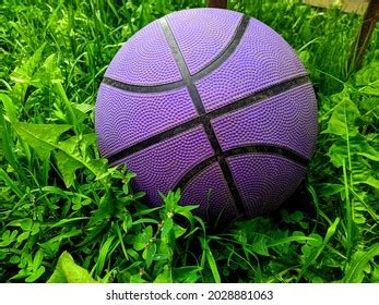 1,573 Purple Basketball Stock Photos, Images & Photography | Shutterstock