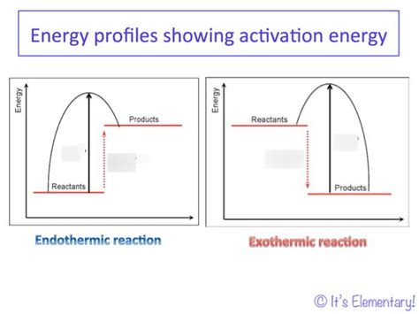 Diagram Of Year 10 Chemistry Exothermic And Endothermic Reactions Quizlet