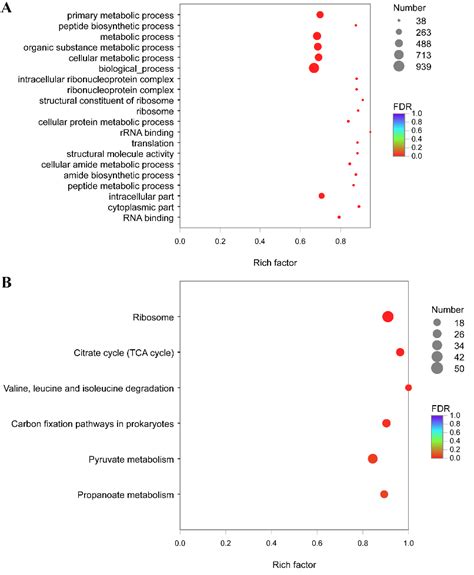 Analysis Of Differentially Expressed Genes Between 18 And 28 °c A Go