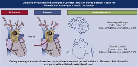 Unilateral Versus Bilateral Antegrade Cerebral Perfusion During