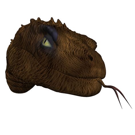 Brown Snake Free Stock Photo - Public Domain Pictures